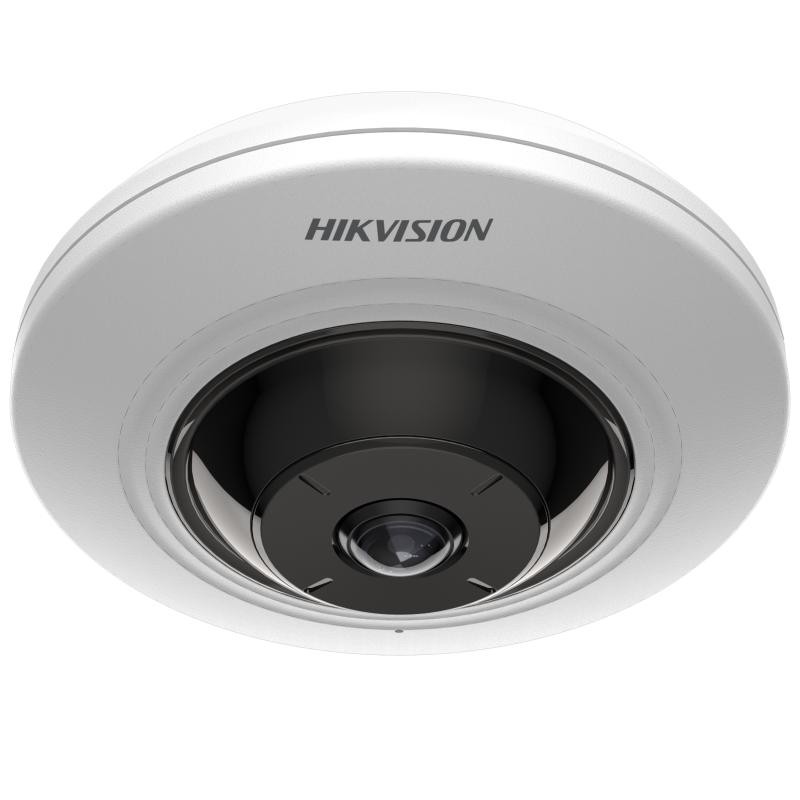 CAMAERA IP HIKVISION DS-2CD2955G0-ISU