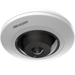 CAMAERA IP HIKVISION DS-2CD2955G0-ISU