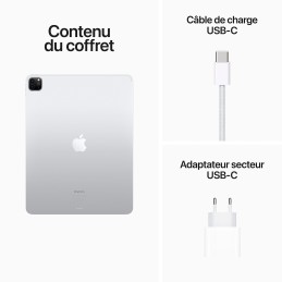 Apple iPad Pro (2022) 12.9 pouces 256 Go Wi-Fi Argent