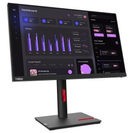 Lenovo 23.8" LED - ThinkVision T24i-30