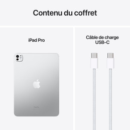 Apple iPad Pro M4 (2024) 11 pouces 2 To Wi-Fi Argent