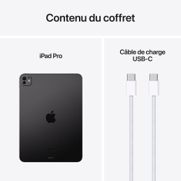 Apple iPad Pro M4 (2024) 11 pouces 1 To Wi-Fi Noir Sidéral